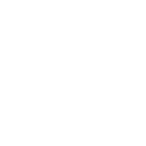Mobile Auto Detailing & Car Wash